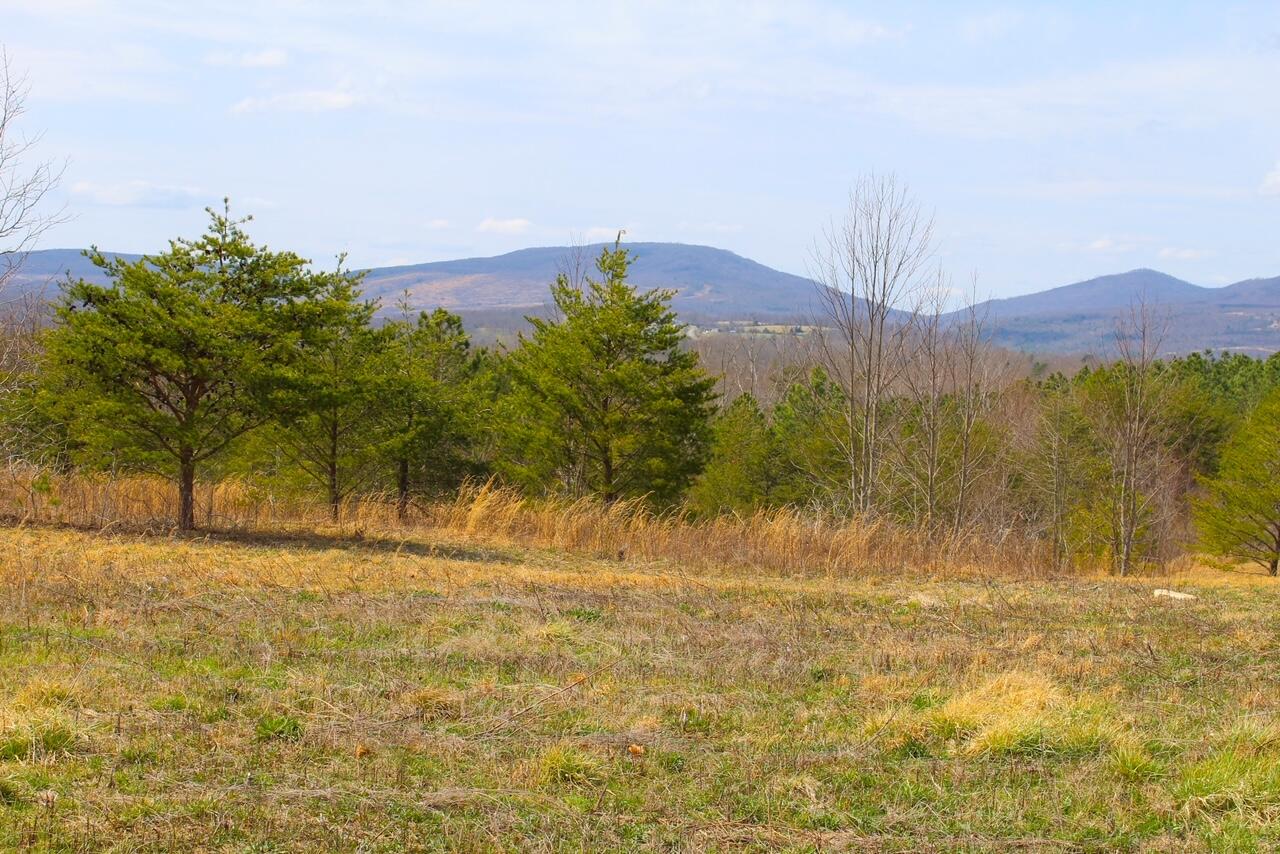 Lot 8 Tower Road Grandview, TN 37337 - Photo 6 of 11 IMG_0114