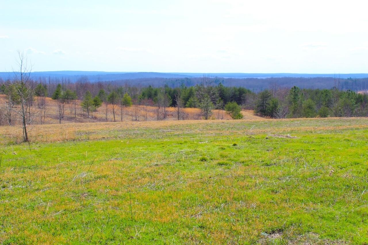 Lot 8 Tower Road Grandview, TN 37337 - Photo 10 of 11 IMG_0168