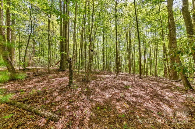 $649,000 | 9999 Gouges Creek Road, Spruce Pine, NC 28777