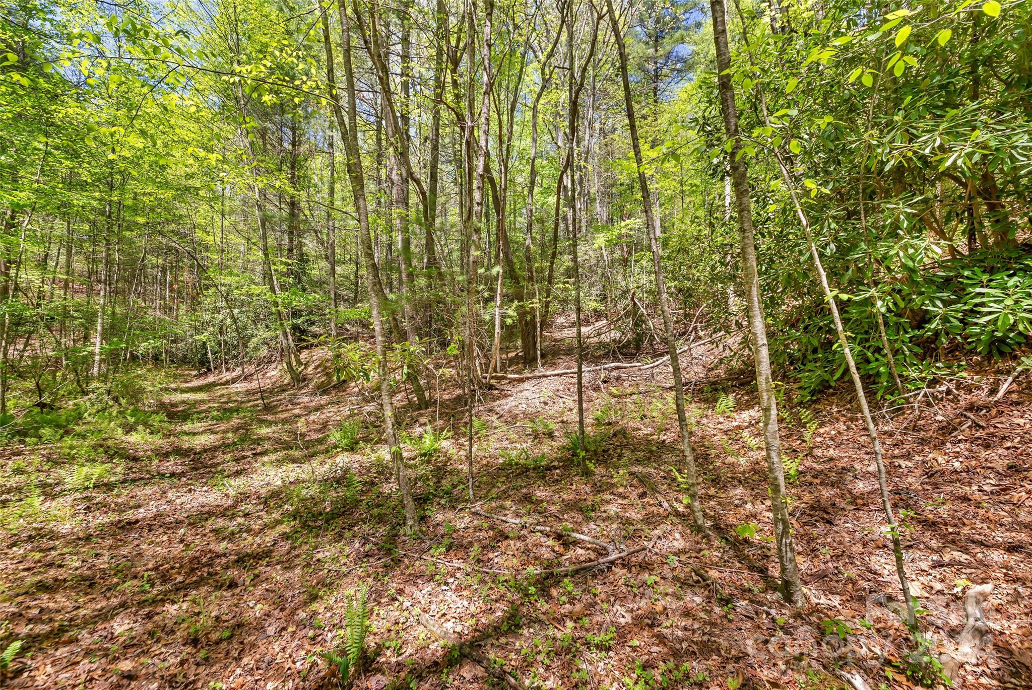 9999 Gouges Creek Road Spruce Pine, NC 28777 - Photo 12 of 31