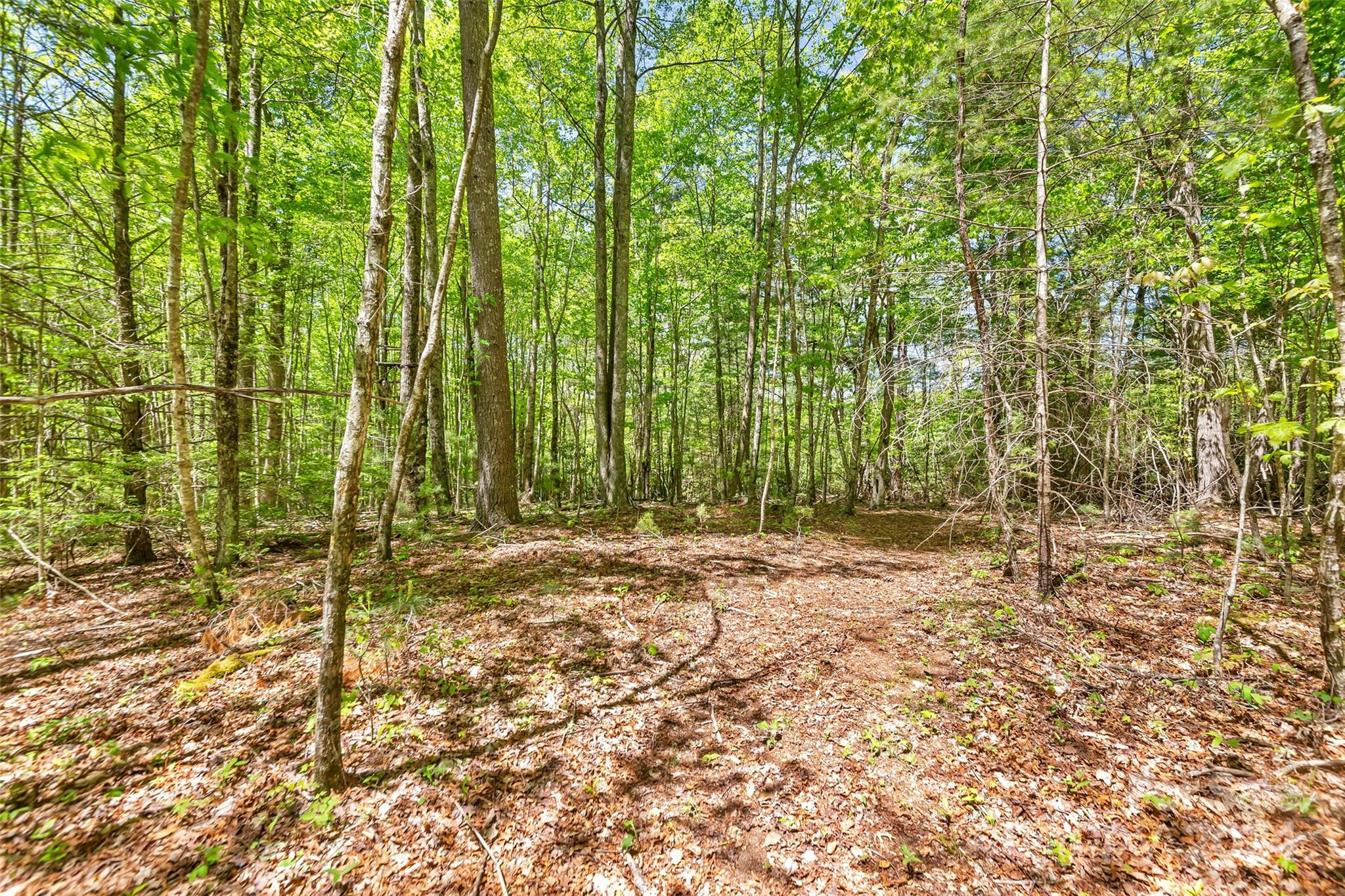 9999 Gouges Creek Road Spruce Pine, NC 28777 - Photo 14 of 31