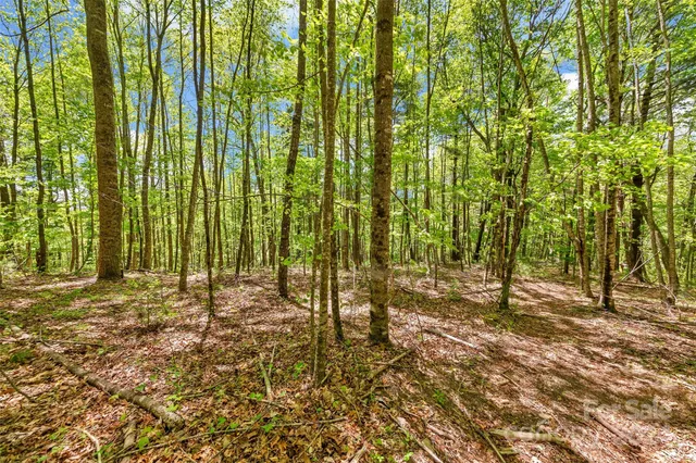 $649,000 | 9999 Gouges Creek Road, Spruce Pine, NC 28777