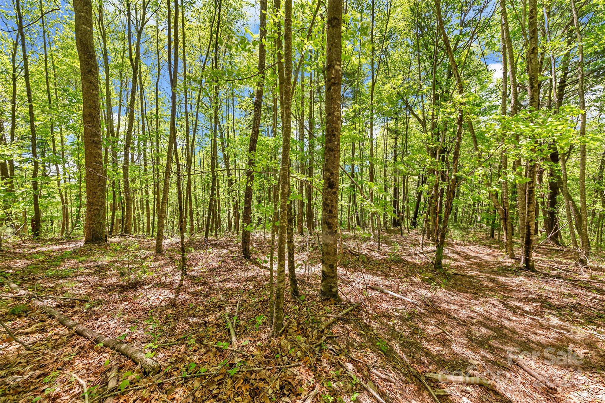 9999 Gouges Creek Road Spruce Pine, NC 28777 - Photo 16 of 31