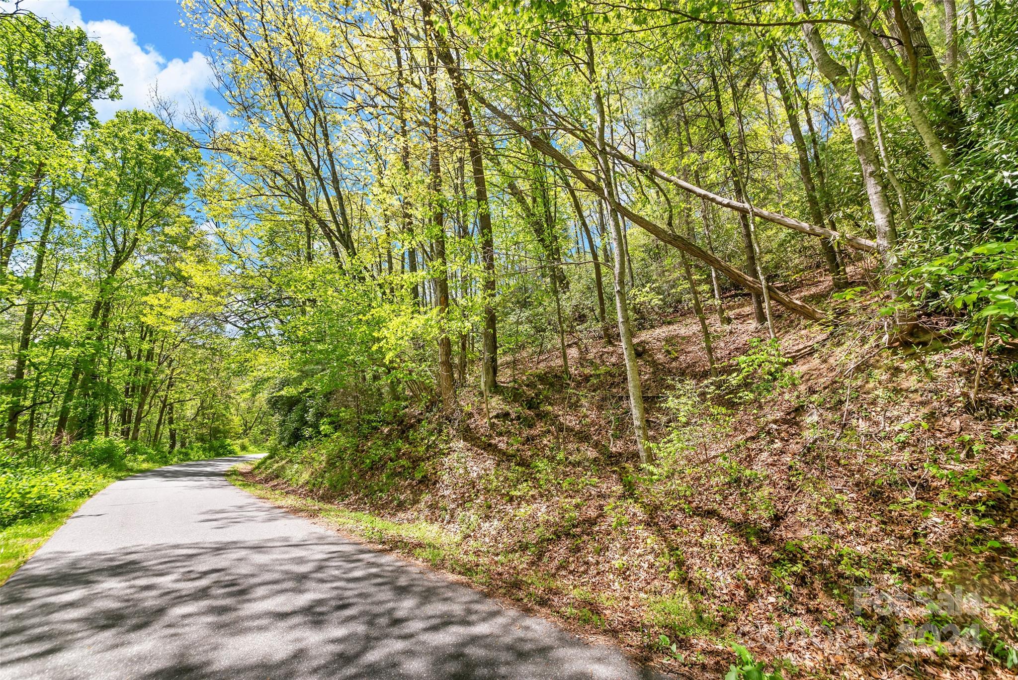 9999 Gouges Creek Road Spruce Pine, NC 28777 - Photo 18 of 31
