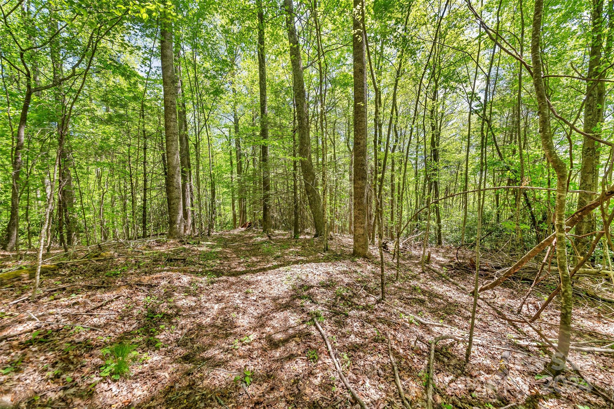 9999 Gouges Creek Road Spruce Pine, NC 28777 - Photo 2 of 31