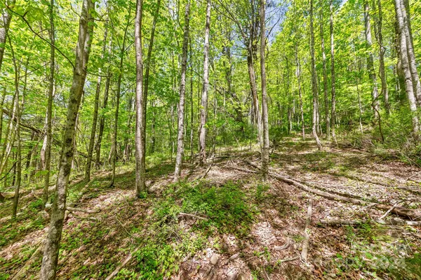 $649,000 | 9999 Gouges Creek Road, Spruce Pine, NC 28777