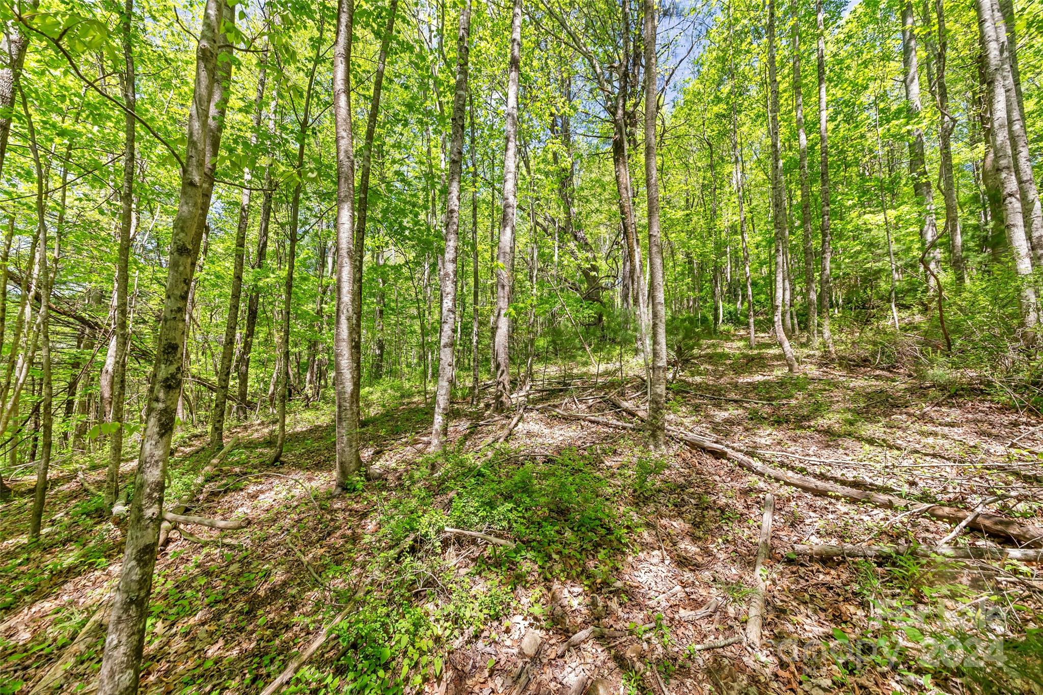 9999 Gouges Creek Road Spruce Pine, NC 28777 - Photo 21 of 31