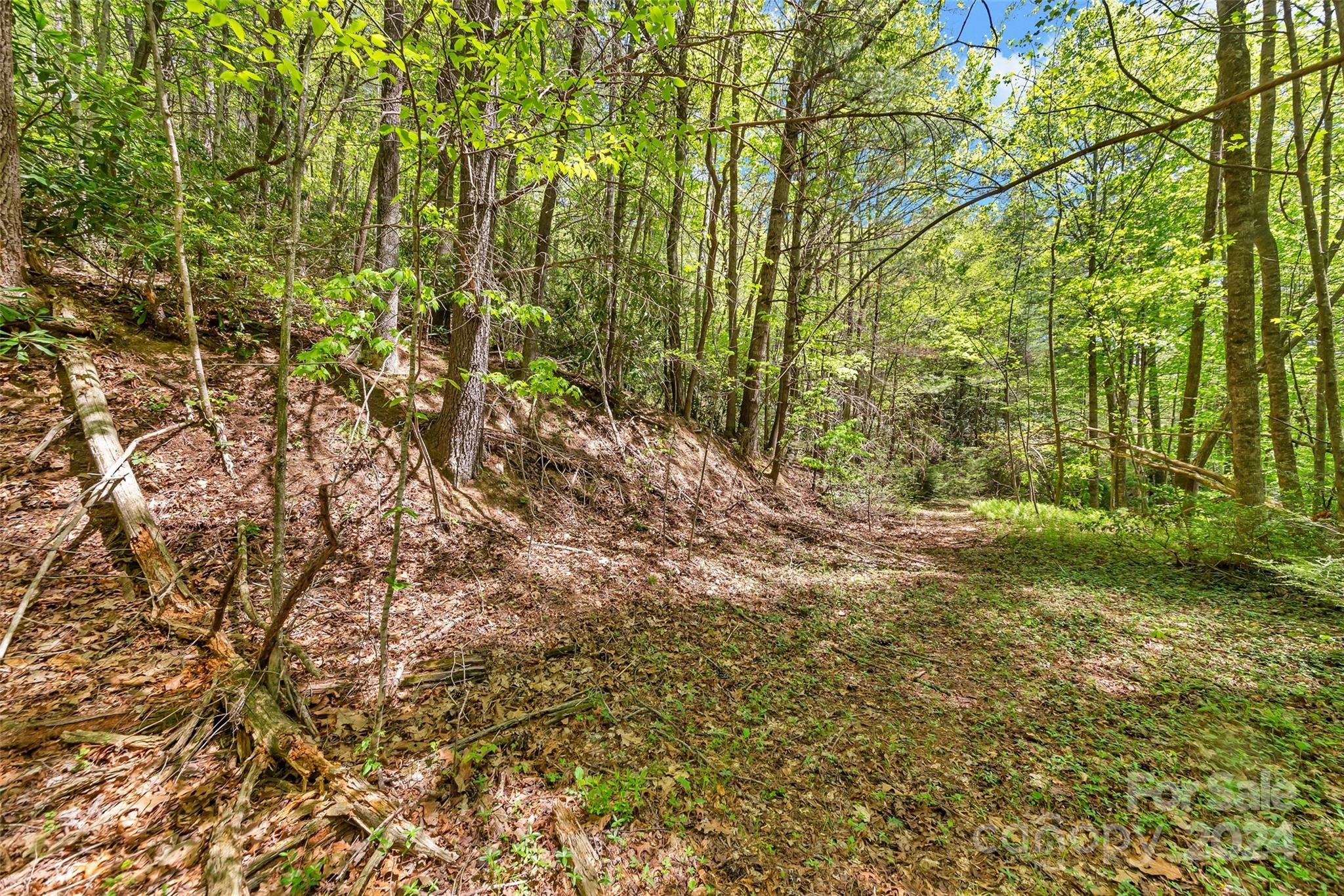 9999 Gouges Creek Road Spruce Pine, NC 28777 - Photo 23 of 31