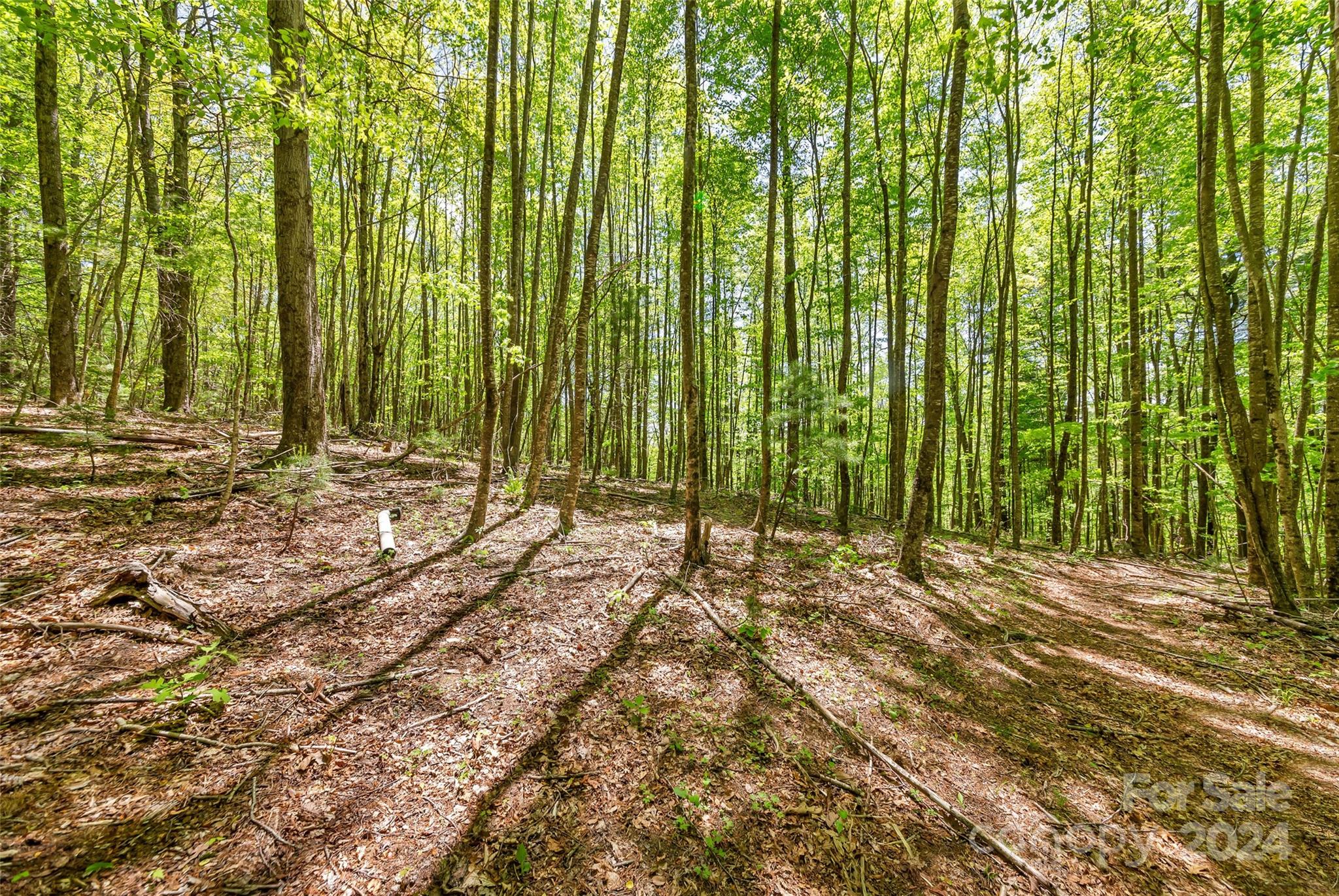 9999 Gouges Creek Road Spruce Pine, NC 28777 - Photo 24 of 31