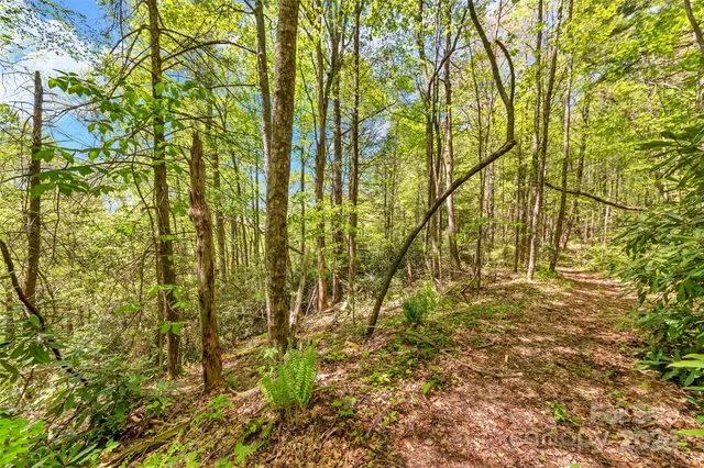 $649,000 | 9999 Gouges Creek Road, Spruce Pine, NC 28777