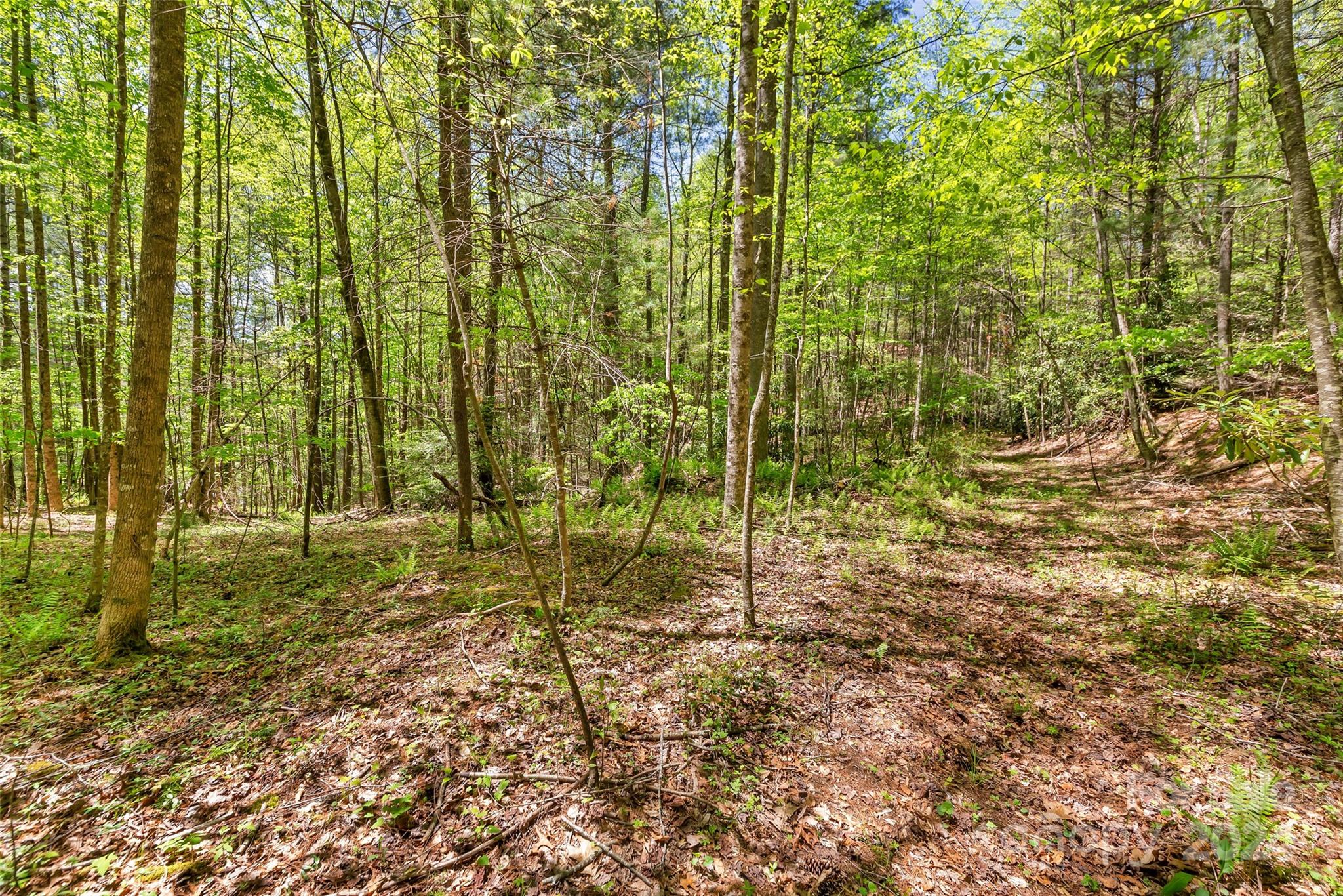 9999 Gouges Creek Road Spruce Pine, NC 28777 - Photo 27 of 31