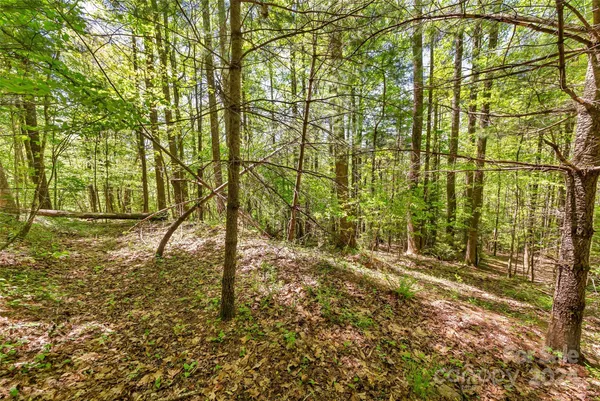 $649,000 | 9999 Gouges Creek Road, Spruce Pine, NC 28777