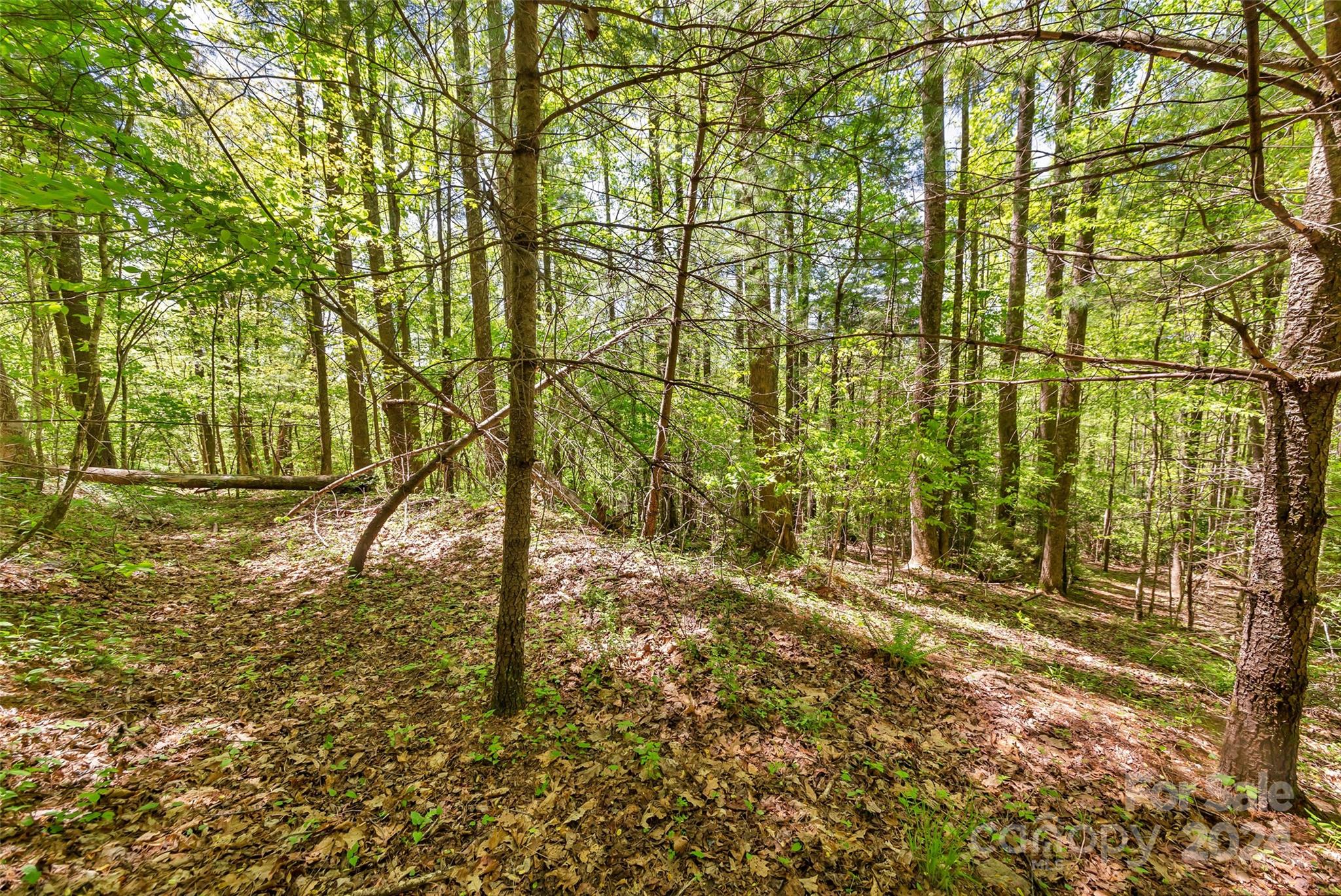 9999 Gouges Creek Road Spruce Pine, NC 28777 - Photo 28 of 31