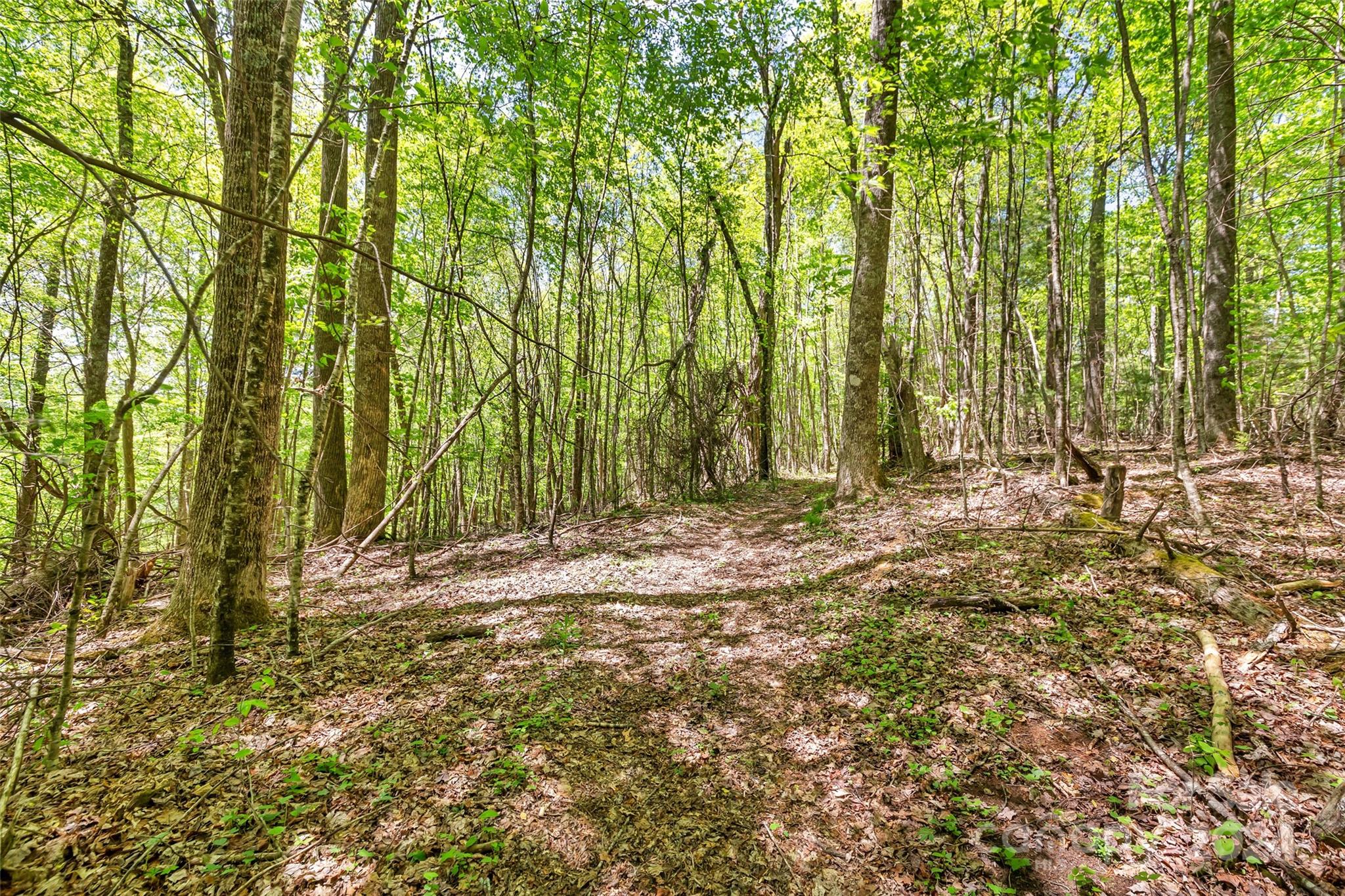 9999 Gouges Creek Road Spruce Pine, NC 28777 - Photo 29 of 31