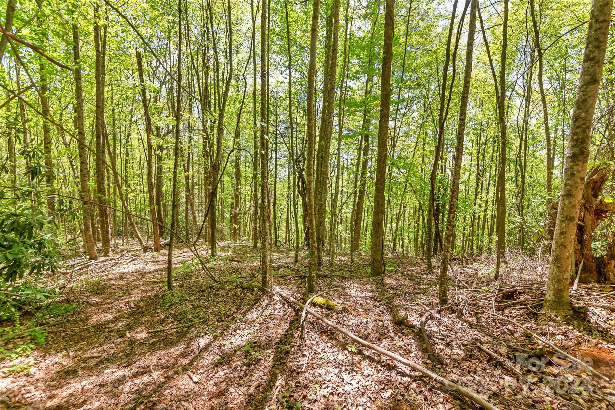 9999 Gouges Creek Road Spruce Pine, NC 28777 - Photo 30 of 31