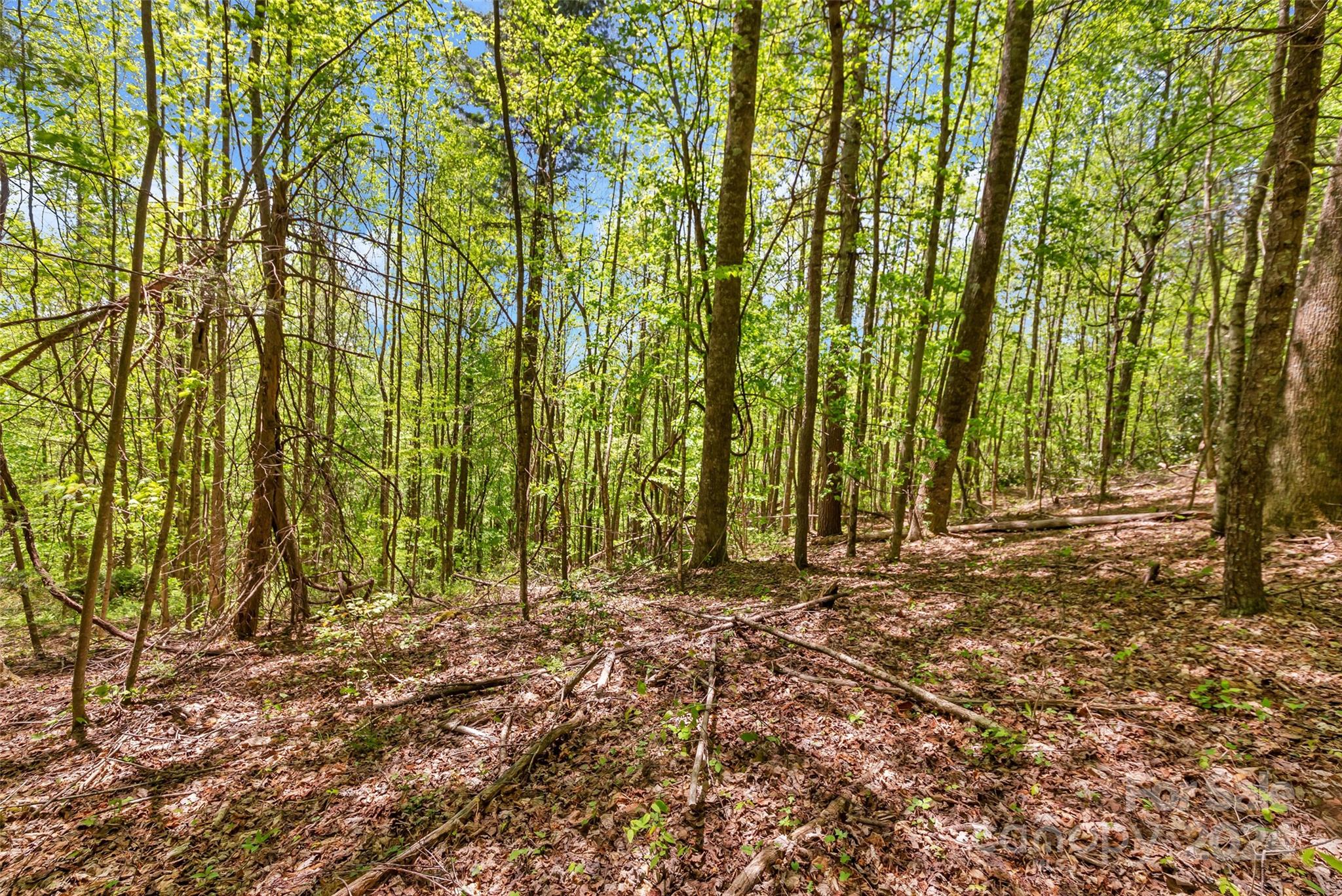 9999 Gouges Creek Road Spruce Pine, NC 28777 - Photo 31 of 31