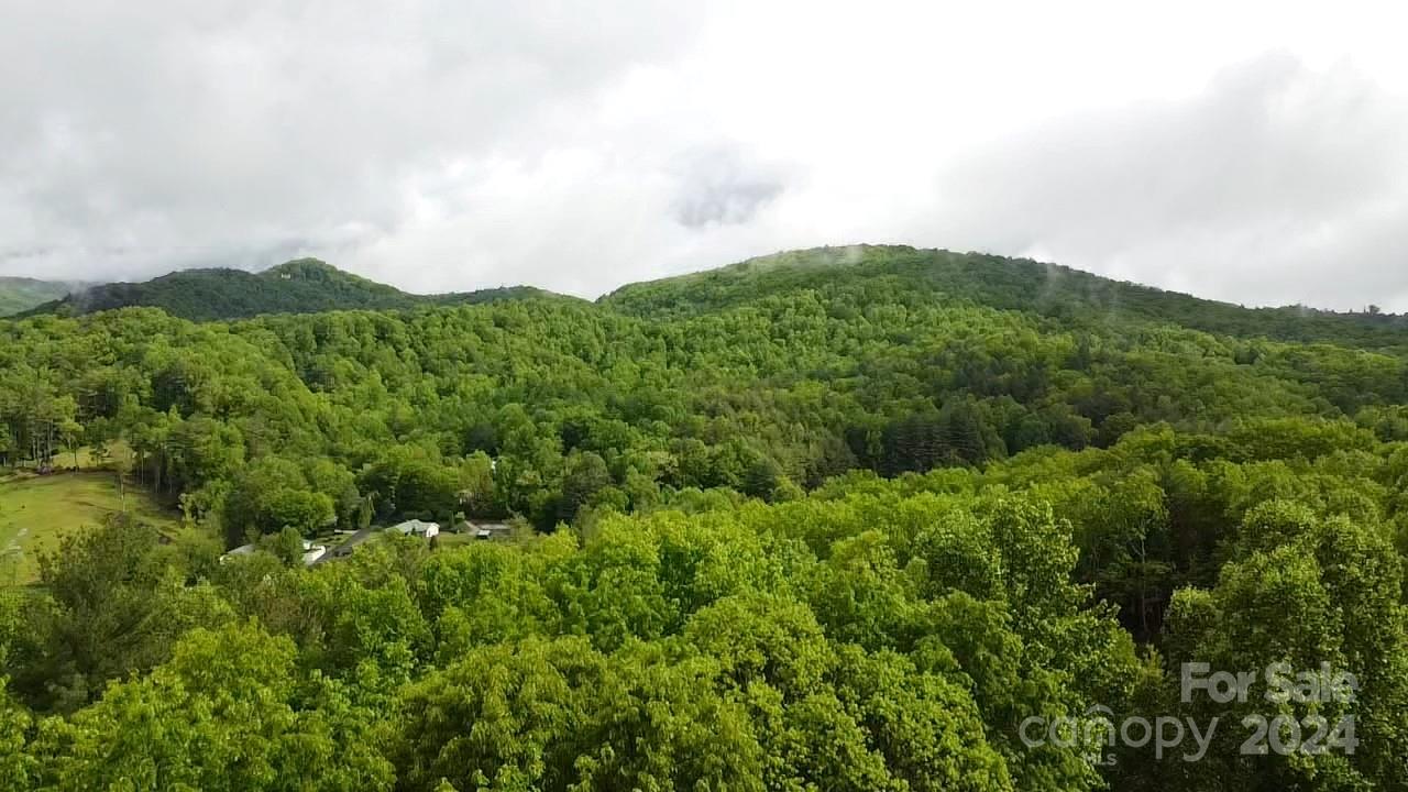 9999 Gouges Creek Road Spruce Pine, NC 28777 - Photo 5 of 31