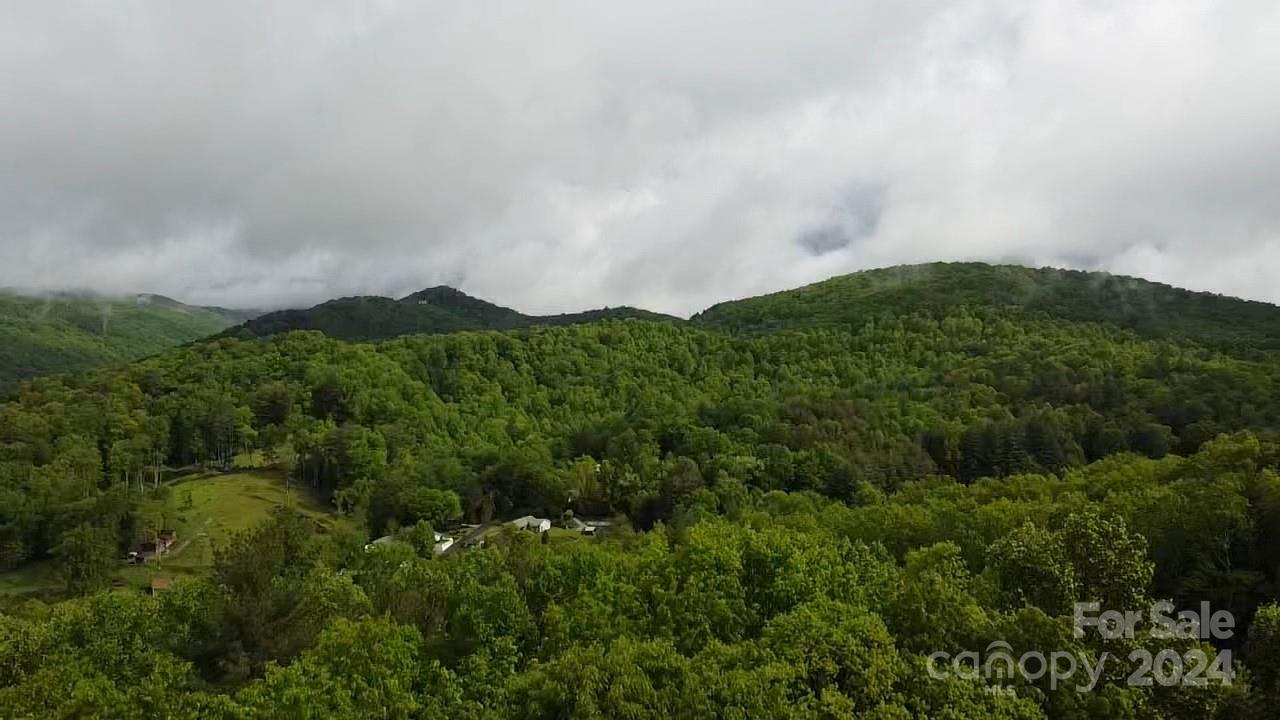 9999 Gouges Creek Road Spruce Pine, NC 28777 - Photo 6 of 31