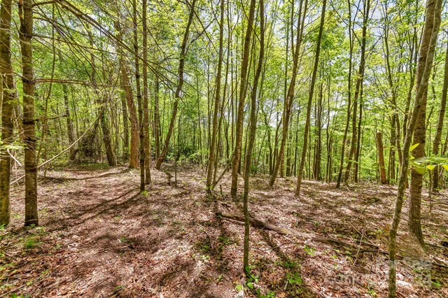 $649,000 | 9999 Gouges Creek Road, Spruce Pine, NC 28777