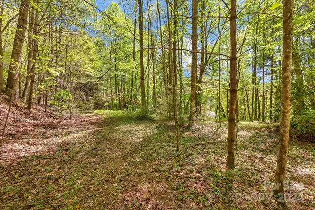 $649,000 | 9999 Gouges Creek Road, Spruce Pine, NC 28777