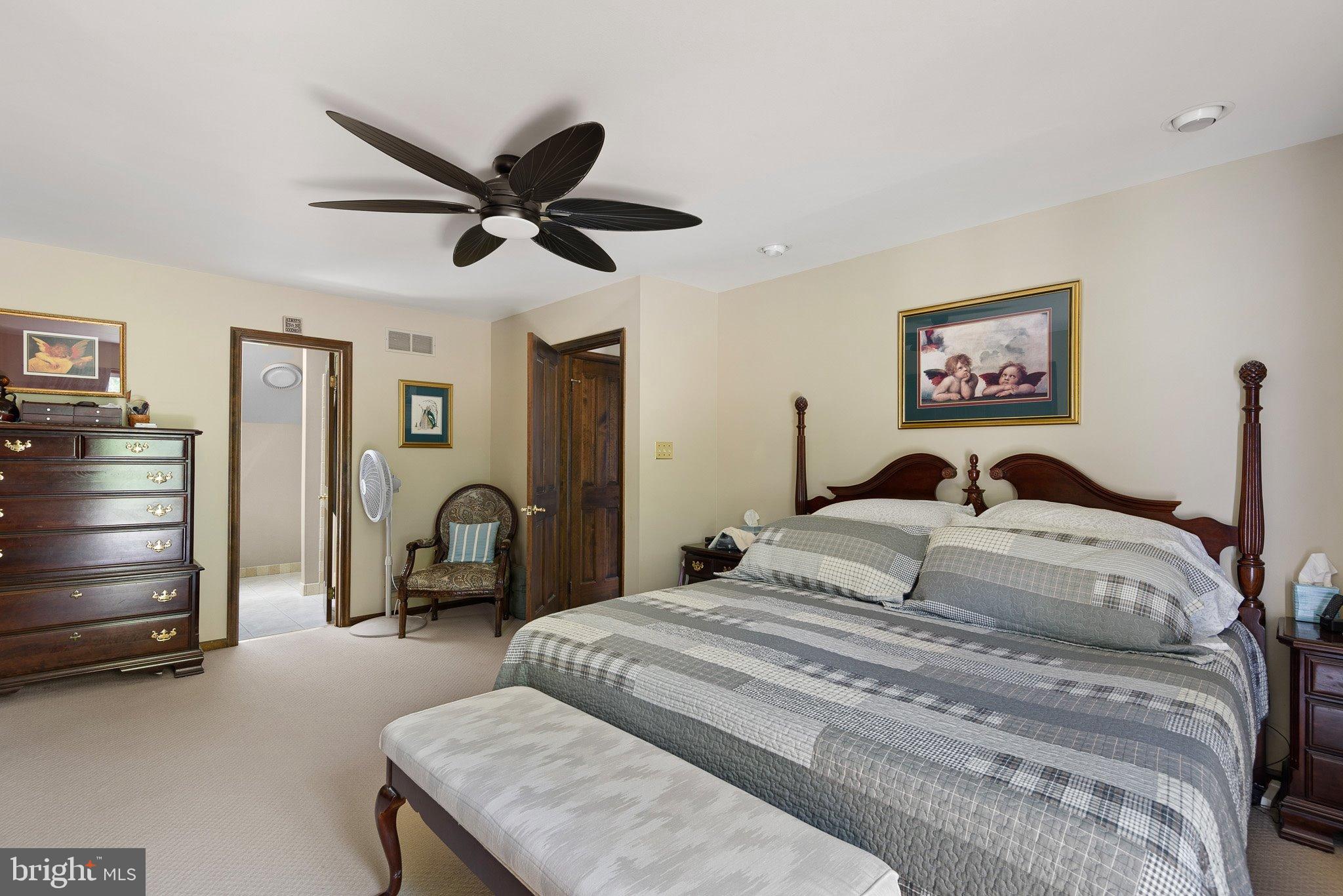 135 Blacksnake Road Elkton, MD 21921 - Photo 34 of 57 Upper level primary suite