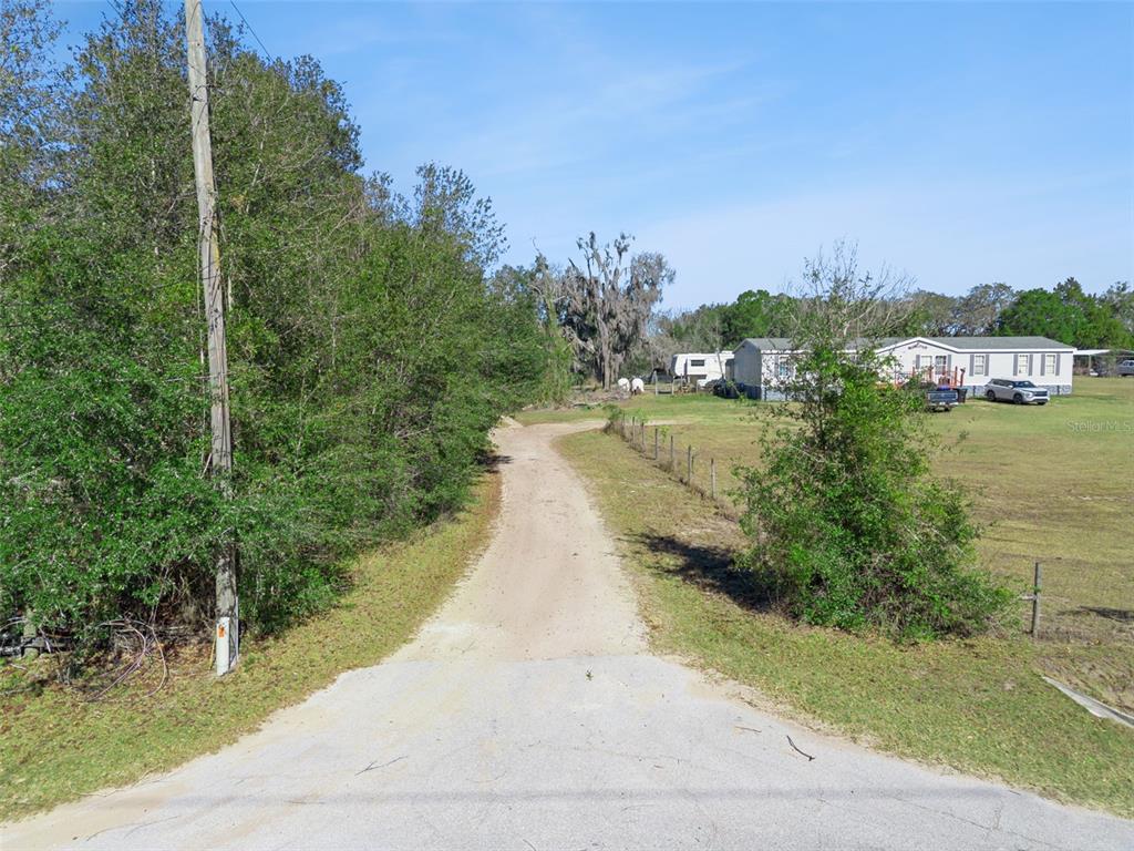 1909 Haas Road Apopka, FL 32712 - Photo 13 of 13 a view of a yard with plants and a trees