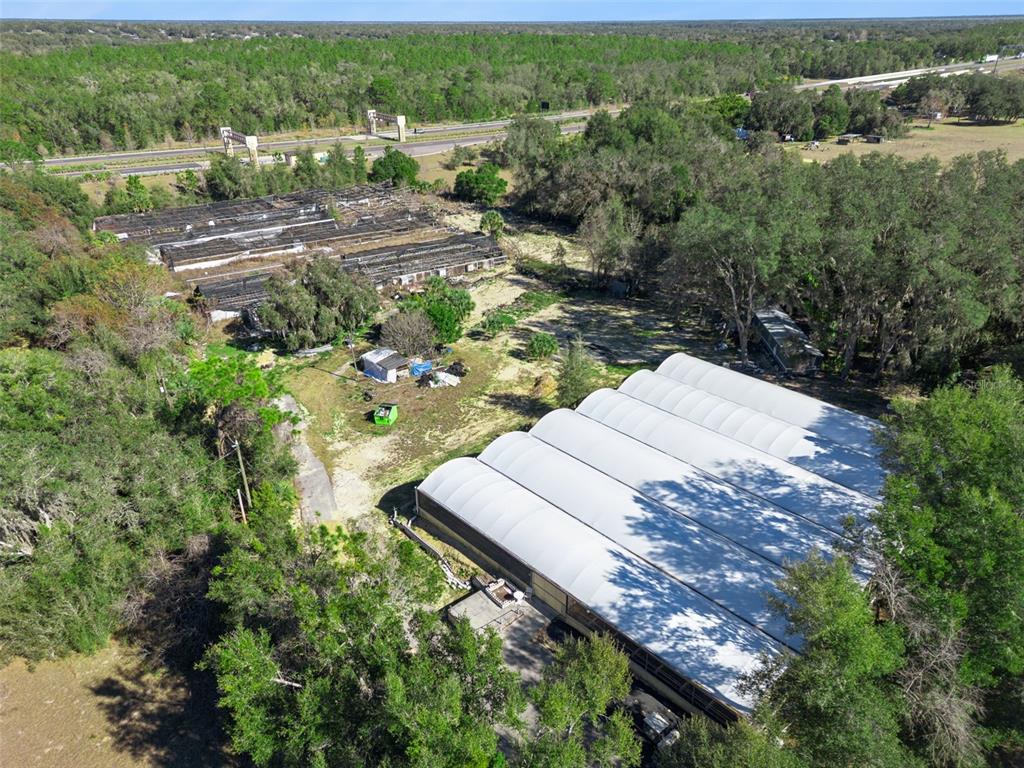 1909 Haas Road Apopka, FL 32712 - Photo 7 of 13 a view of a backyard with plants and lake view