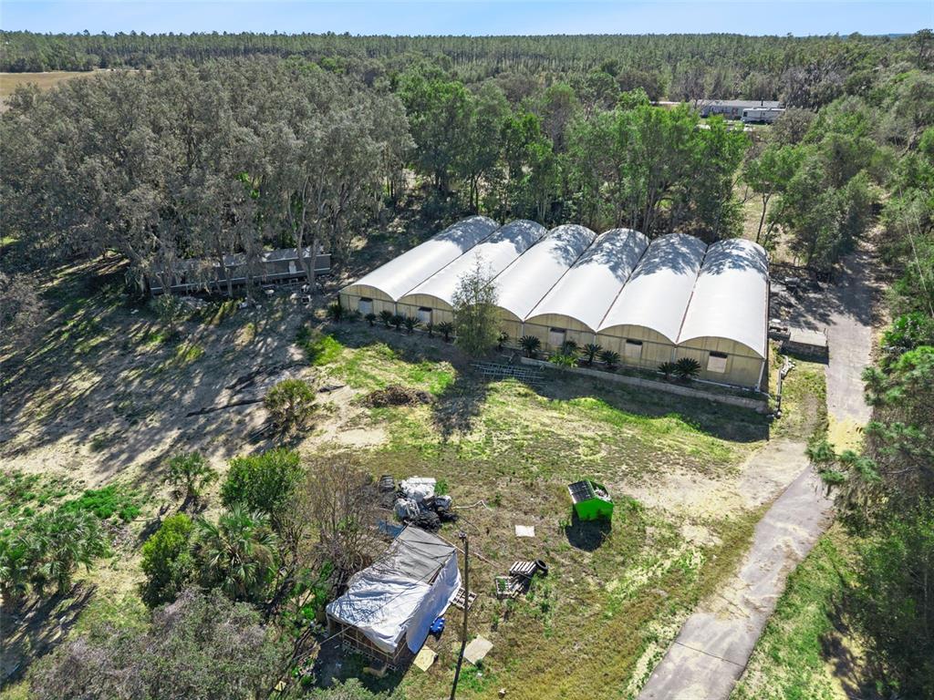 1909 Haas Road Apopka, FL 32712 - Photo 8 of 13 a view of yard from window