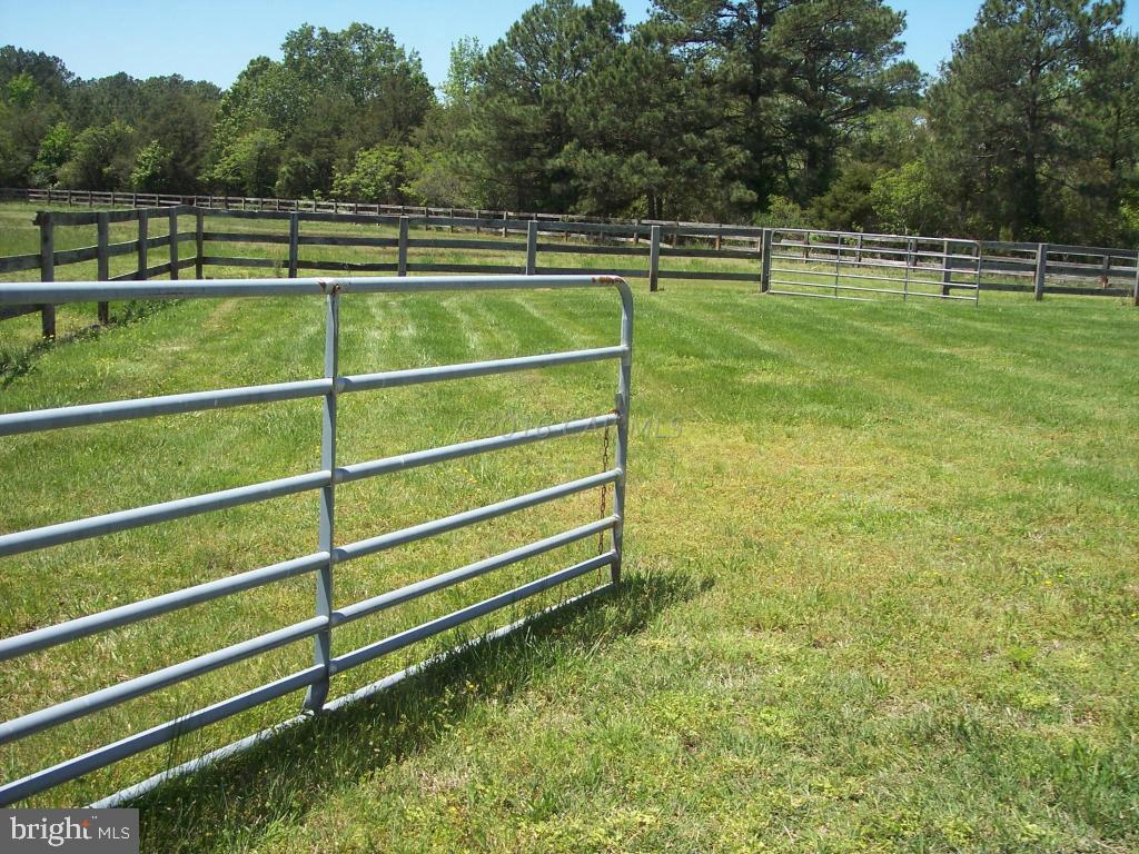 27230 Fairmount Road Westover, MD 21871 - Photo 41 of 53 Property has 10 Fenced Acres