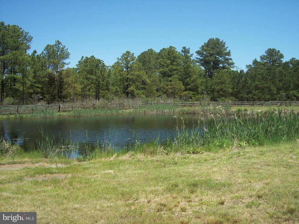 27230 Fairmount Road Westover, MD 21871 - Photo 46 of 53 Fresh Water Pond at Rear of Lot