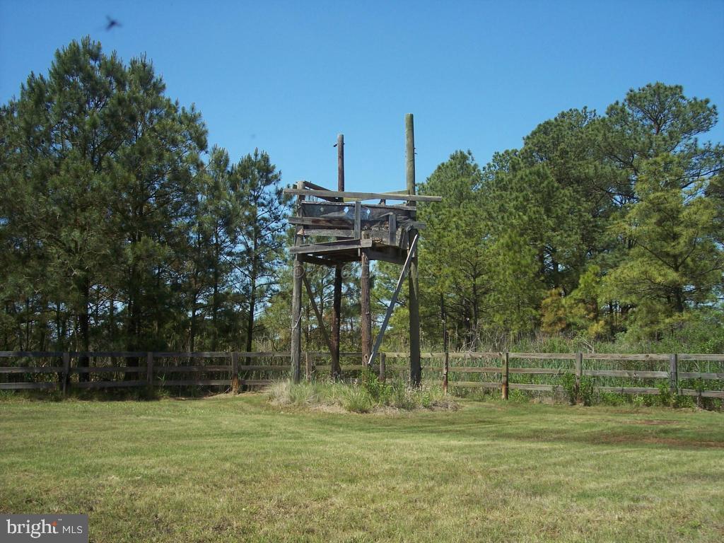 27230 Fairmount Road Westover, MD 21871 - Photo 47 of 53 Hunting Stand Overlooks Woods and Pond