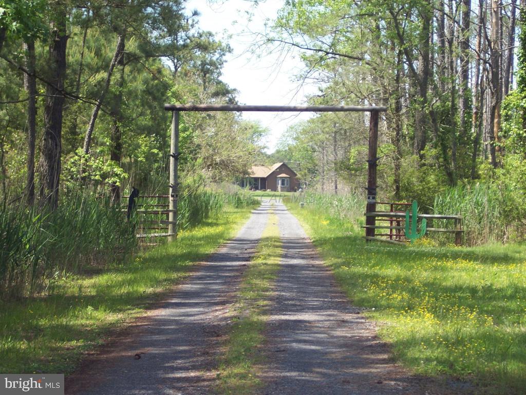 27230 Fairmount Road Westover, MD 21871 - Photo 48 of 53 Long Driveway from Fairmount Road to House
