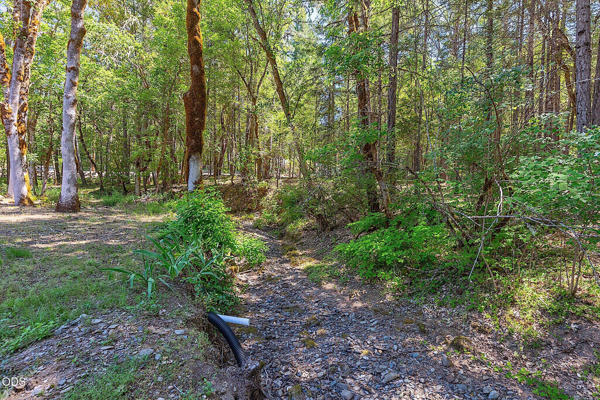 484 Round Prairie Road Wilderville, OR 97543 - Photo 61 of 77