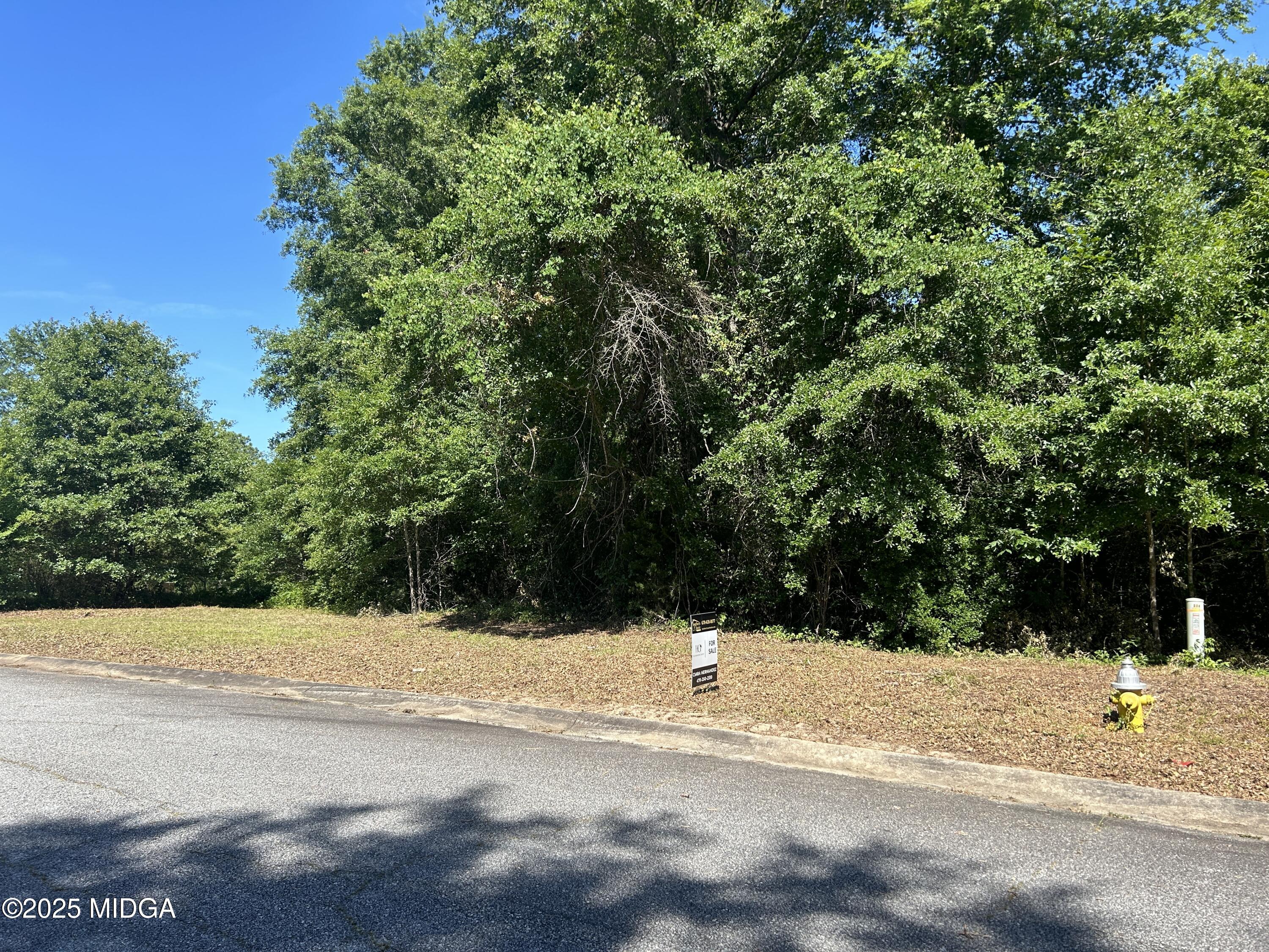 234 Alview Drive Macon, GA 31206 - Photo 2 of 2