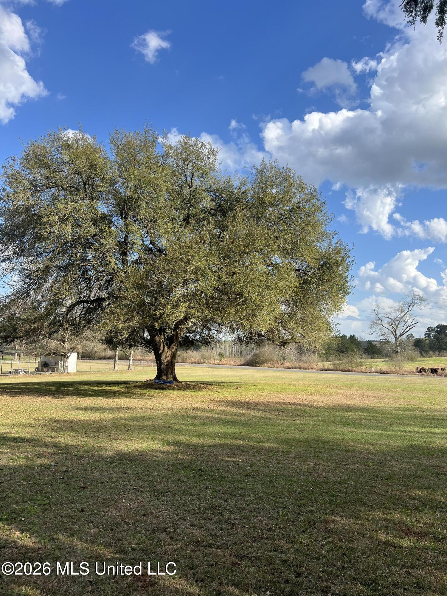 7071 Hamp Lea Road Magnolia, MS 39652 - Photo 12 of 13 IMG_3746
