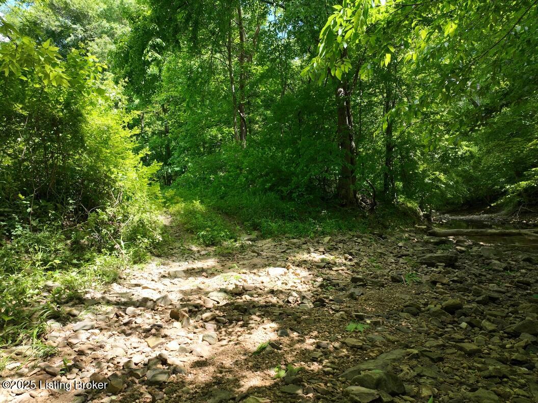 5579 Falls Of The Rough Road Caneyville, KY 42721 - Photo 12 of 33 DJI_0121_20