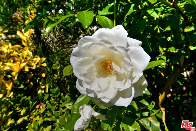 $1,295,000 | 3661 El Encanto Drive, Calabasas, CA 91302