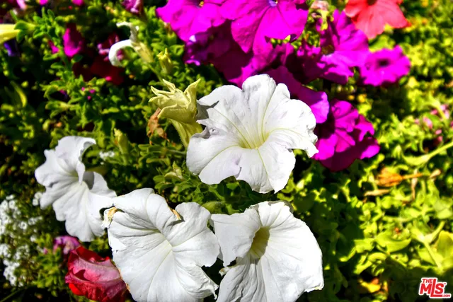 $1,295,000 | 3661 El Encanto Drive, Calabasas, CA 91302