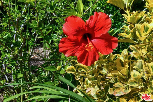 $1,295,000 | 3661 El Encanto Drive, Calabasas, CA 91302