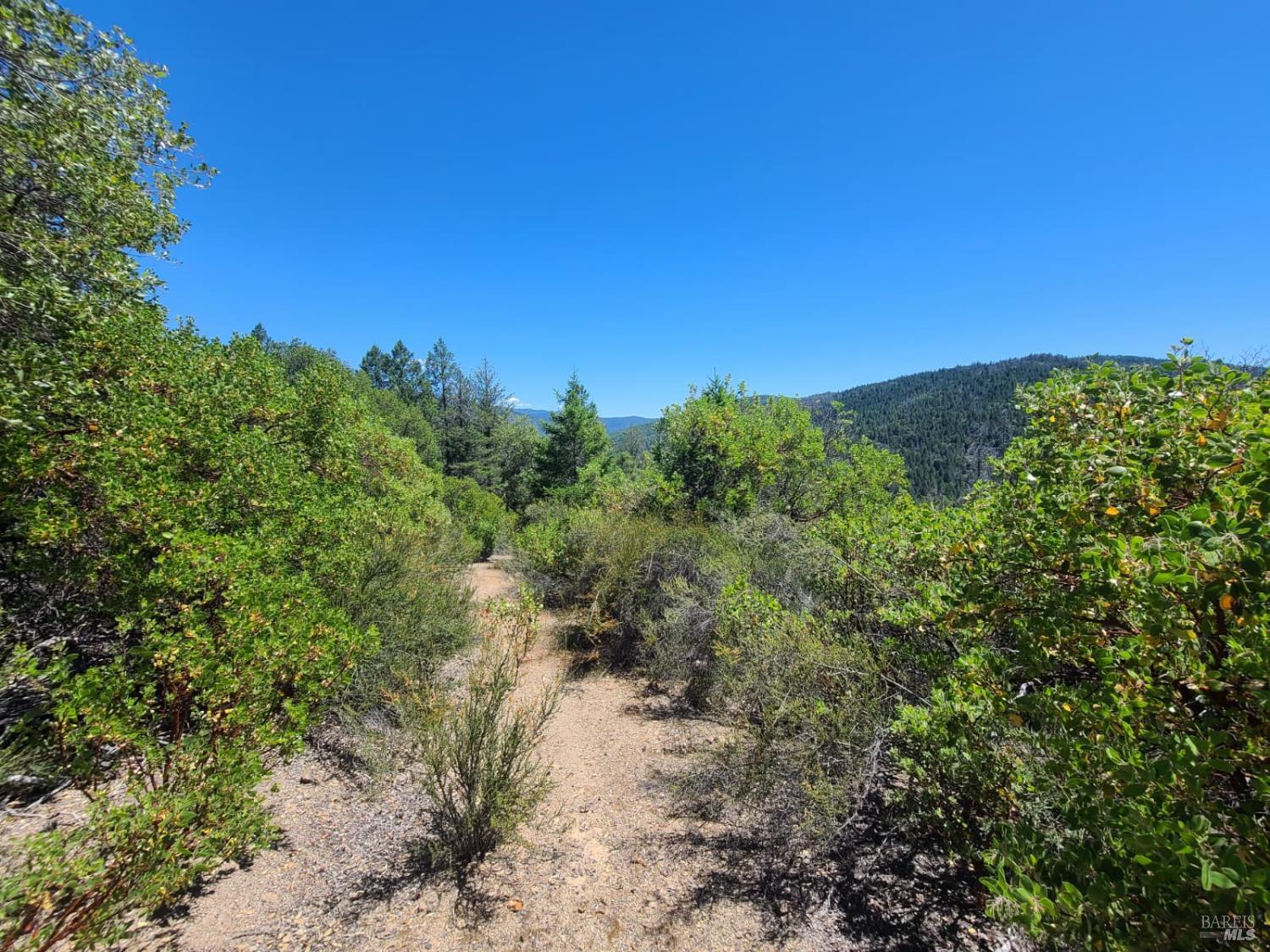 0 Etsel Ridge Road Covelo, CA 95428 - Photo 17 of 18