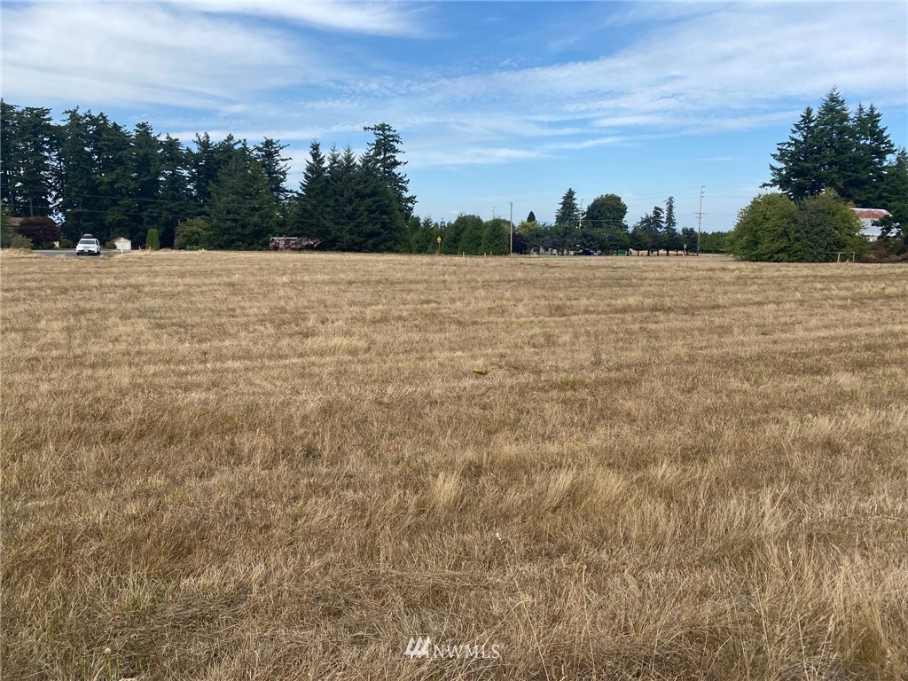 863 Van Dyk Road Lynden, WA 98264 - Photo 1 of 7 a view of basketball court