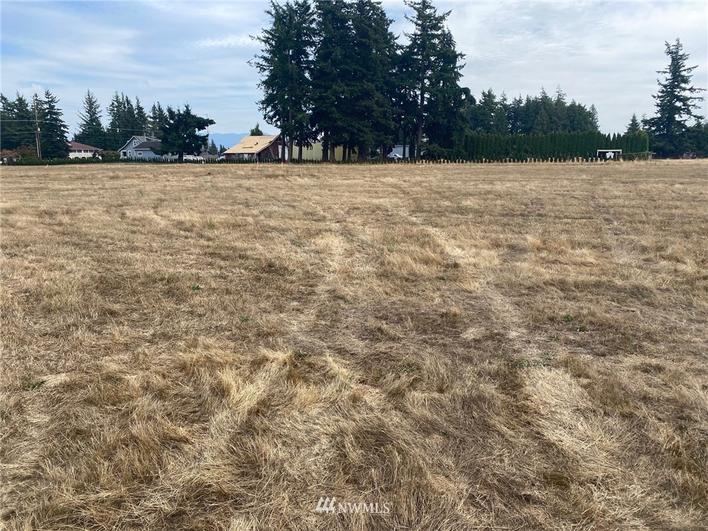 863 Van Dyk Road Lynden, WA 98264 - Photo 3 of 7 a view of outdoor space and yard