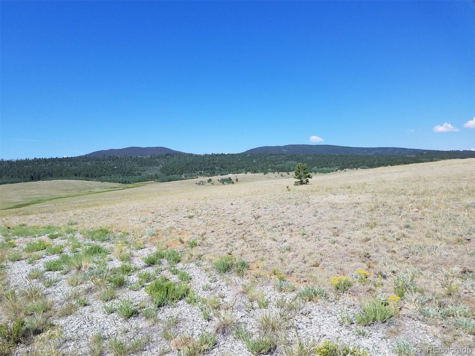 2837 Wagon Wheel Road Hartsel, CO 80449 - Photo 2 of 2 Gallery Image 2