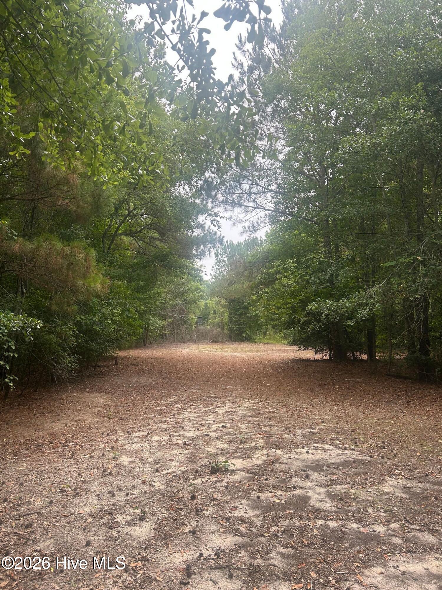 Tbd Oliver Carlton Road Warsaw, NC 28398 - Photo 13 of 15