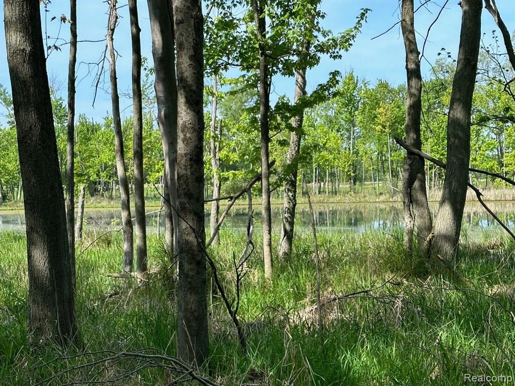 D North Holly Road Holly, MI 48442 - Photo 22 of 27