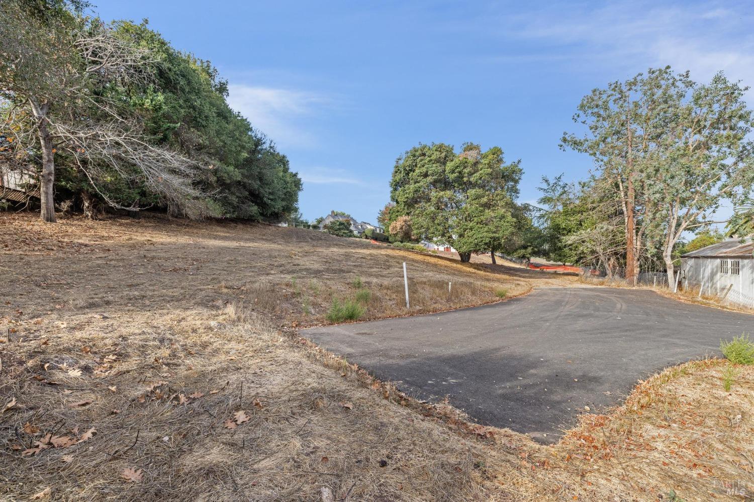 21 Branching Way Petaluma, CA 94952 - Photo 18 of 33 a view of a yard with a tree