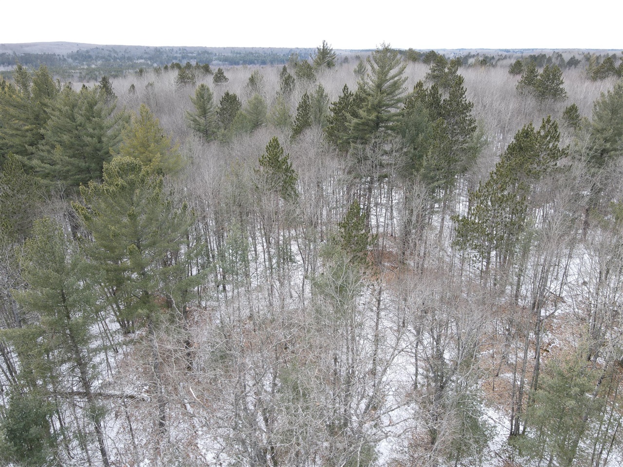 3010 Mt Tom Road Comins, MI 48619 - Photo 24 of 97