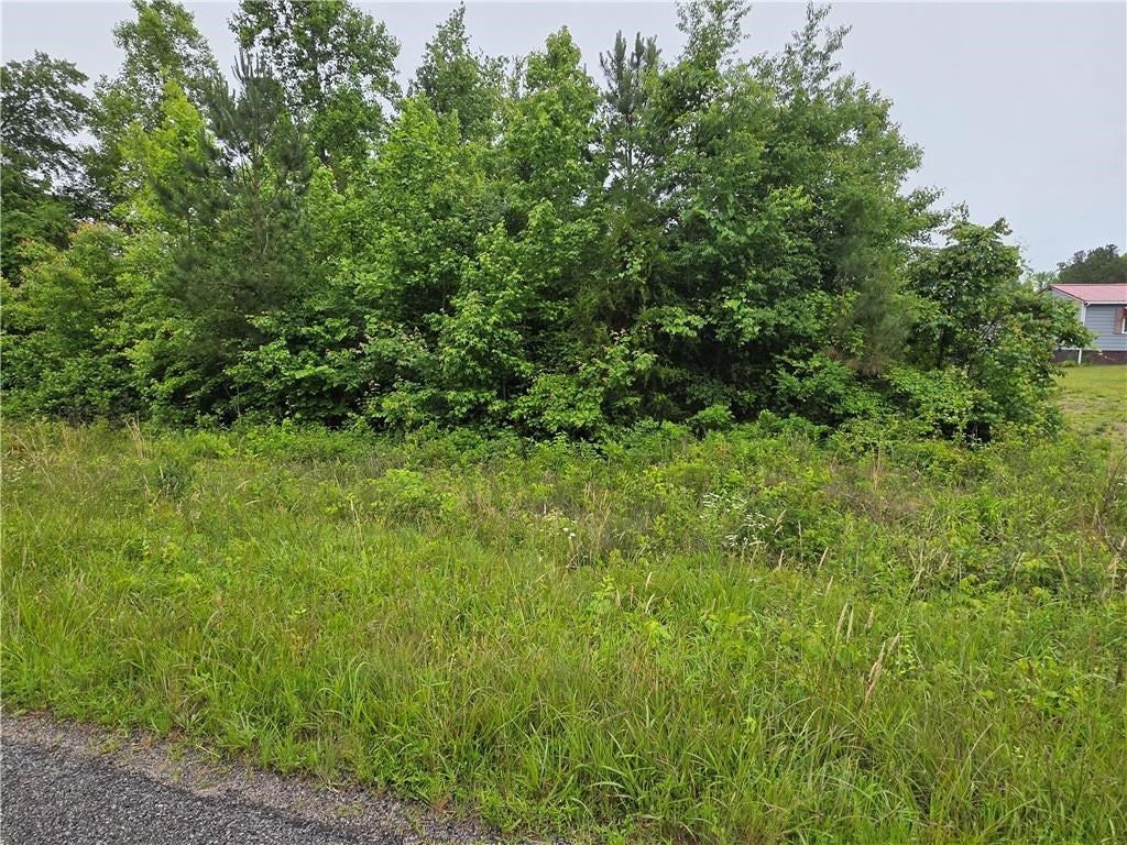 0 Plank Road, Unit 17 Kenbridge, VA 23944 - Photo 2 of 39 Gallery Image 2