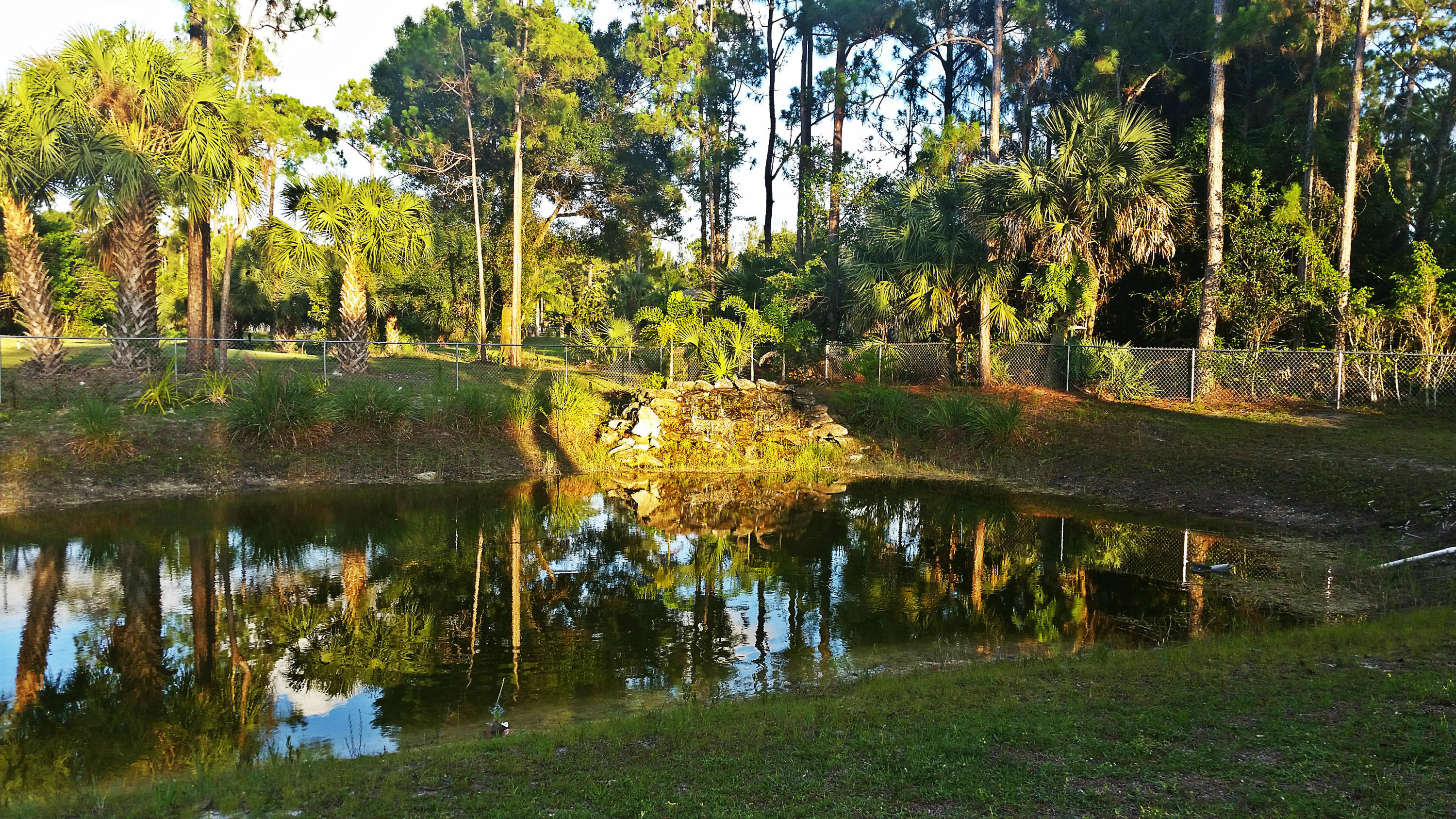 6098 Indian Trail Ranch Road Loxahatchee, FL 33470 - Photo 33 of 39 Fully stocked pond
