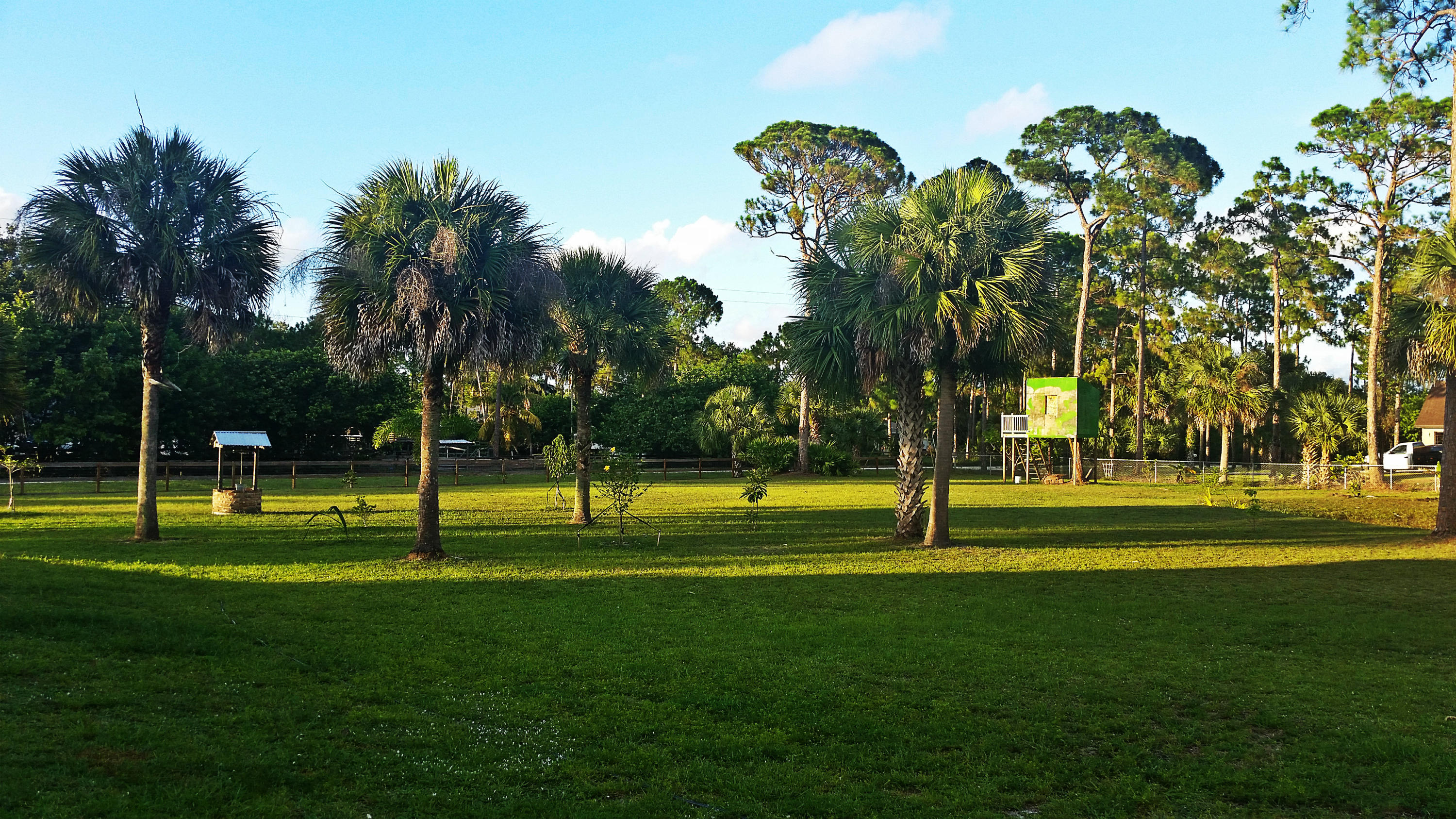 6098 Indian Trail Ranch Road Loxahatchee, FL 33470 - Photo 38 of 39 Back yard